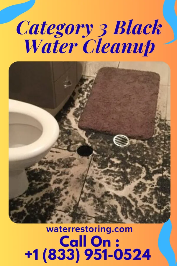 Category 3 Black Water Cleanup in Apple Valley, OH