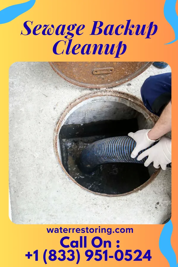 Sewage Backup Cleanup in Apple Valley, OH