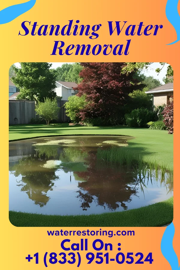 Standing Water Removal in Apple Valley, OH